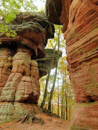 Das Foto zeigt die orange-braun farbigen Sandsteinfelsen im Pfälzer Wald. Die Felsen erheben sich pilzartig und in einzelnen Blöcken im Laubwald.