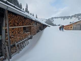 Am gestrigen Mittwoch an der tief verschneiten Blankensteinalm.