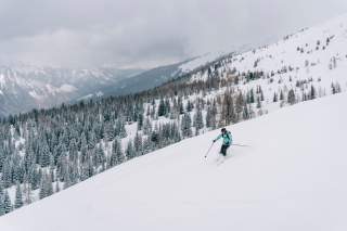 Skifahrerin fährt vor verschneitem Wald ab