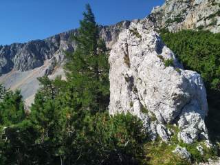 Rückblick vom Nandlgrat zum Schneeberg, Kalkfels im Vordergrund