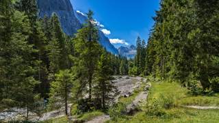 Waldlandschaft mit einem schmalen Wanderweg, einem Bach und Bergen im Hintergrund unter blauem Himmel.