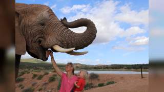 Nelion lacht, unter ihm sind hunderte Pinguine.