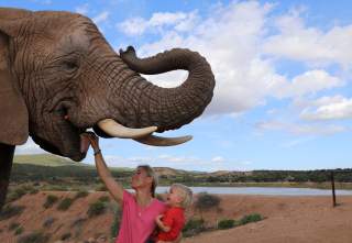 Astrid Därr hält ihren Sohn auf ihrem Arm und füttert einen Elefanten.