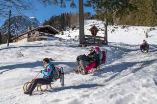 Rodelspaß beim Bergsteigerdorf Schleching.