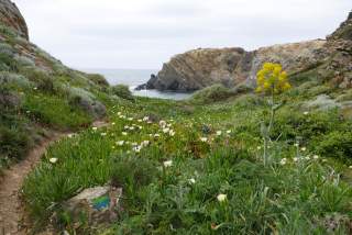 Wanderweg durch Klippenlandschaft mit vielen Blumen