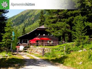 Hütte im Wald mit roten Sonnenschirmen