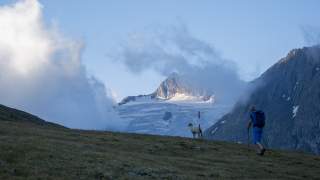 Ein Wanderer mit Rucksack und Wanderstöcken läuft über eine alpine Wiese, im Hintergrund sind ein Schaf, Wolken und schneebedeckte Berggipfel zu sehen.