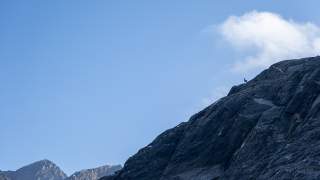 Berglandschaft mit steilen Felsen und klarem blauen Himmel, auf einem Felsvorsprung steht eine einzelne Gämse