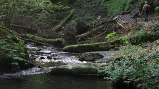 Im verwunschenen Baybachtal