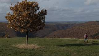 Herbststimmung bei Morshausen