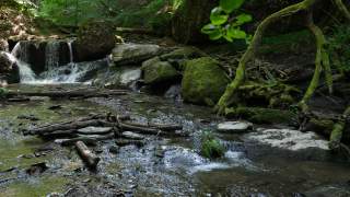 Auf dem Saar-Hunsrück-Steig durch die Ehrenbachklamm