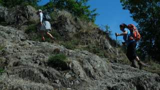 Saar-Hunsrück-Steig: Auf der Ripp