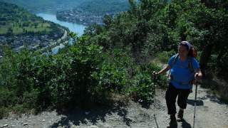 Saar-Hunsrück-Steig: Panorama am Ende der Ripp