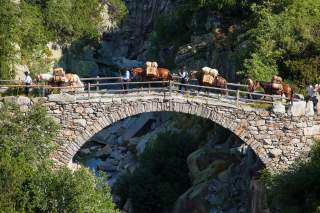 Säumer führen ihre Packtiere über die Bögelisbrücke und weiter Richtung Grimselpass