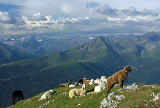 Aufziehendes Gewitter in der Nähe der Nördlinger Hütte im Karwendel.