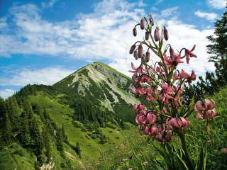 schleching_berge_geigelstein_(c)touristik-information-schleching---stefan-kattari.jpg
