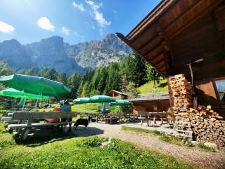 Berghütte mit Holzstapeln, grünen Sonnenschirmen und Sitzbänken, umgeben von Wäldern und hohen Bergen bei klarem Himmel.