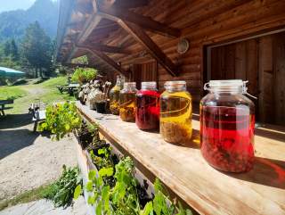 Sechs Einmachgläser mit verschiedenen eingelegten Kräutern und Früchten stehen auf einem Holzgeländer vor einer Berghütte, umgeben von Pflanzen und einer grünen Landschaft.