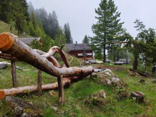Blick auf eine Almwiese mit einer Holzbank aus Baumstämmen, umgeben von Tannenbäumen, und einer Hütte im Hintergrund.