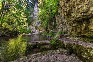 Felsige Schlucht mit grünem Waldbewuchs, ruhigem Fluss und steilem Felsen am rechten Bildrand.