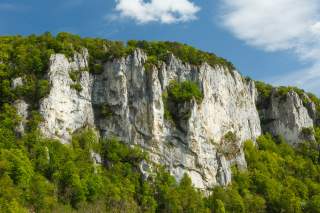 Das Foto zeigt die hohe glatte Kalkfelswand des Schaufelsens im Oberen Donautal. Unterhalb und auf dem Felsen ist die Oberfläche mit Laubbäumen bedeckt.