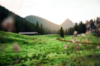Almgebiet im Voralpenland bei diesig-sonniger Stimmung.