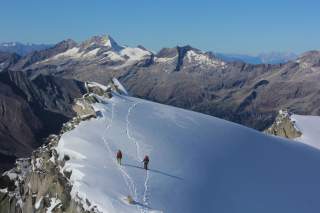 Hochtourengeher am Schwarzenstein in den Zillertaler Alpen.