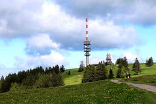 Bergwiesenflächen mit Fernsehturm.