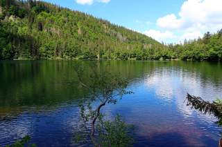 Stiller See am Fuße eines bewaldeten Berghangs.