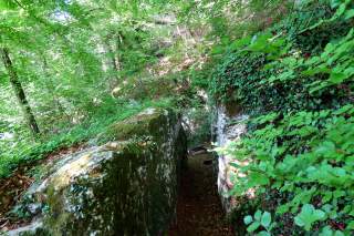 Schlucht zwischen Felsen in schattigem Wald