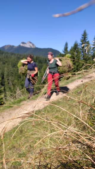 Zwei Personen mit Schnittgut und Astscheren auf einem Almweg.