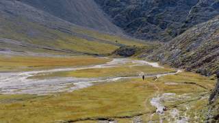 Ein Mensch ganz klein inmitten einer gelbgrünen Wiese auf dem Weg zum Gipfel. Rundherum sieht man nur Fels und Schutthalden.