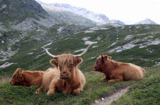 sentiero-alpino-calanca-michael-proettel-3.jpg