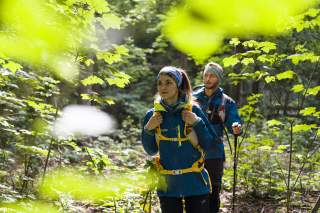 Zwei Personen laufen durch den Wald.