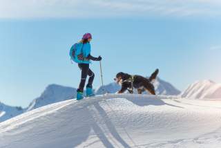 Skitour mit Hund Skitour mit Hund