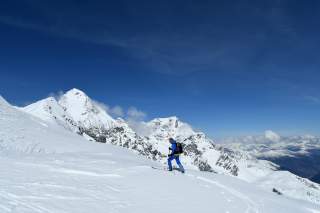 Skitour auf die Suldenspitze mit Blick auf Ortler und Königspitze