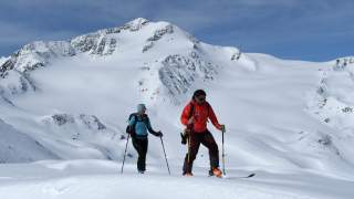 Skitourengeherin und Skitourengeher beim Anstieg auf die Marmotta mit Blick auf die großen Gletscher unter der Zufallspitze.