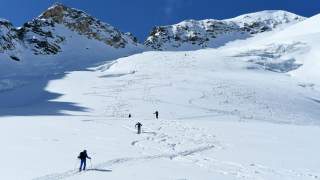 Mehrere Skitourengeher steigen über den Suldenferner auf die Suldenspitze.