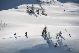 Skitourengeher legen Spur an in verschneiter Winterlandschaft