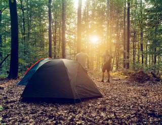 Trekking im Spessart. Foto: Bayerische Staatsforsten, Ramon Haindl