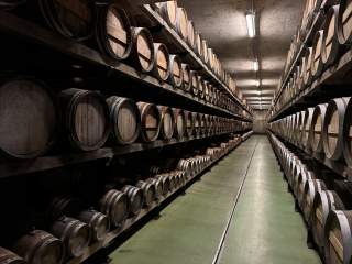 Keller mit aufgeschichteten Holzfässern links und rechts