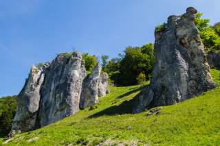 sudlicher-frankenjura-jurafelsen-adobestock.jpeg