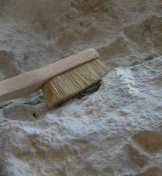 Tickmarks wegbürsten