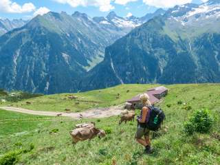 Eine Wanderin läuft bergab über eine Kuhweide in den Alpen. Im Hintergrund hohe Berge.