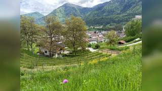 trentino-san-vili-julia-behl-(8)_new.JPG
