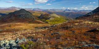 Eine weite, recht sanft gewellte Berglandschaft im Herbst, im Hintergrund ein schneebedeckter Gipfel.