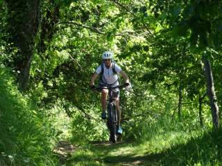 Mounatinbikerin fährt auf einem schmalen Weg durch schattigen Wald.