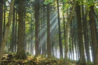 Erlebnisheimat Erzgebirge Erlebnisheimat Erzgebirge