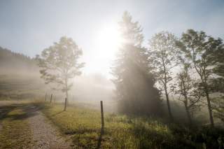 Herbststimmung auf Wanderweg mit Sonne und Nebel