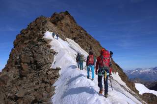 Bergsteigergruppe steigt über einen Firngrat Richtung Weissmies-Gipfel